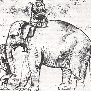 Neo-Latin Elephants